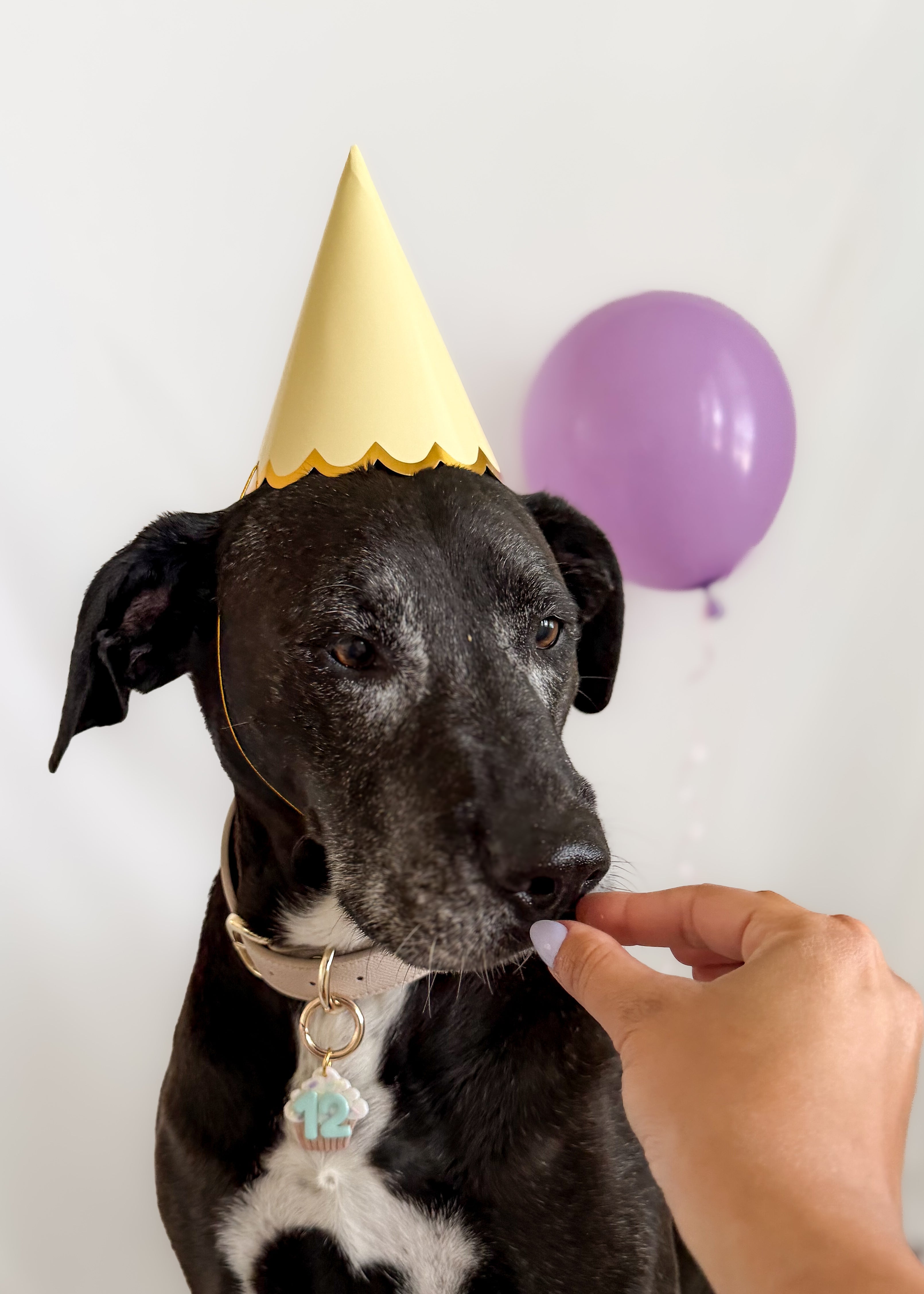 The Birthday Edit