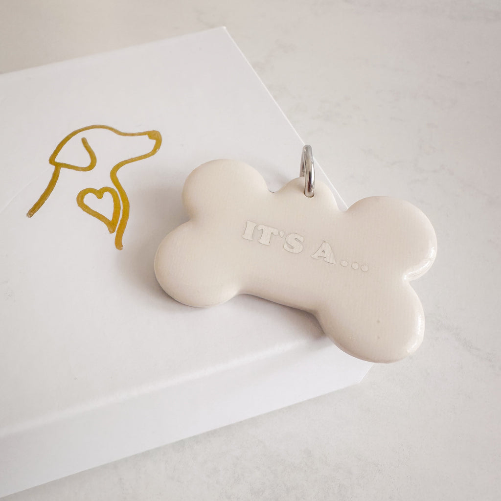 pet id tag for gender reveal