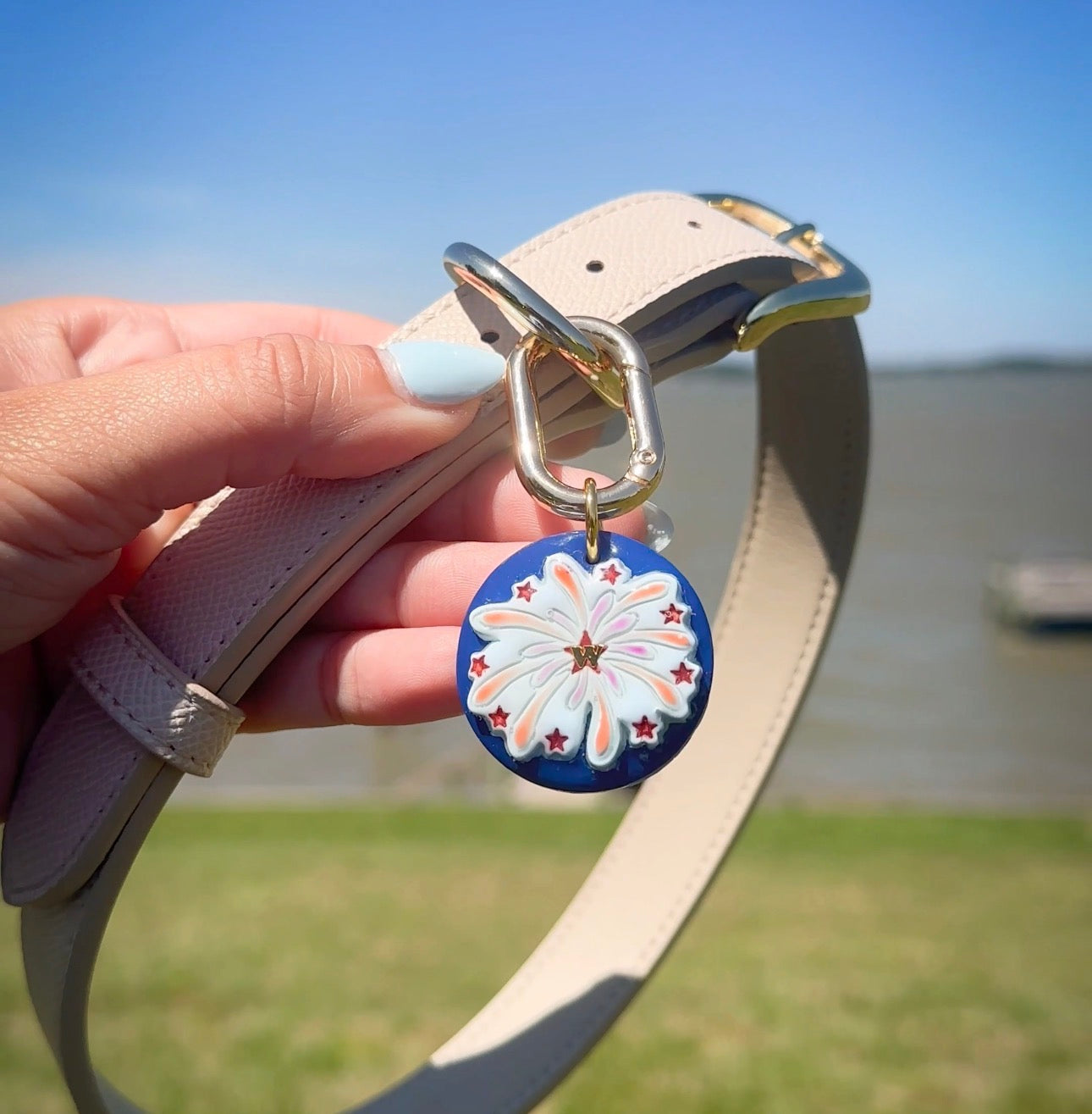 Spark in the Sun - Pet Tag for Dogs, Cats & Other Pets