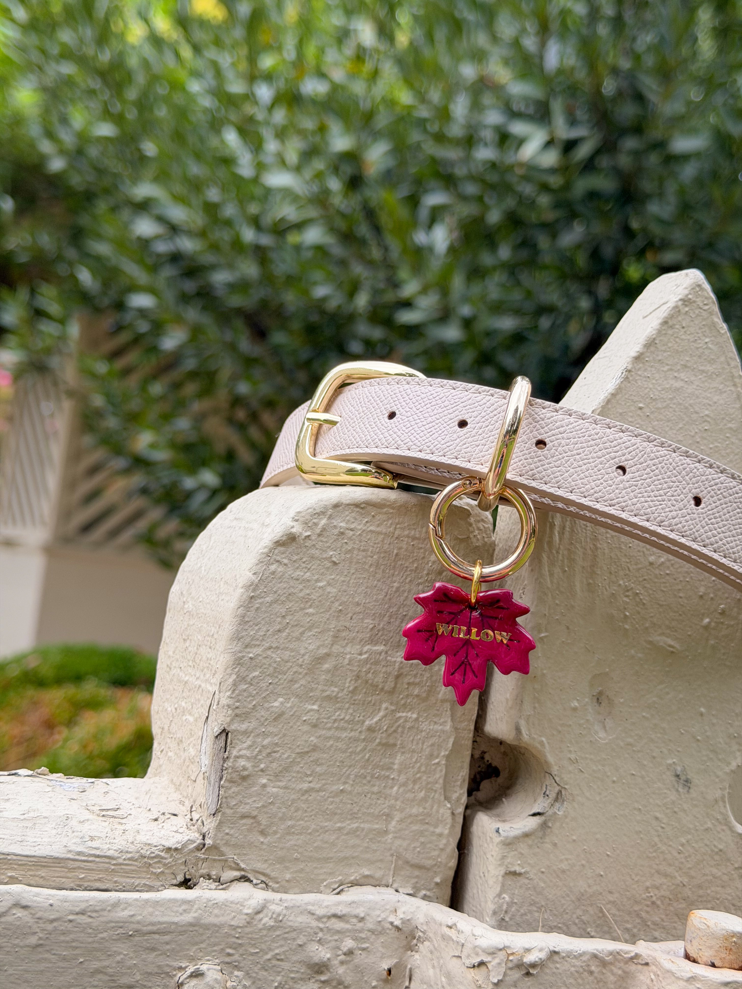 A close-up of a light beige textured leather dog collar with gold hardware, featuring a red maple leaf-shaped tag engraved with 'WILSON', resting on a weathered stone wall with green foliage in the background.