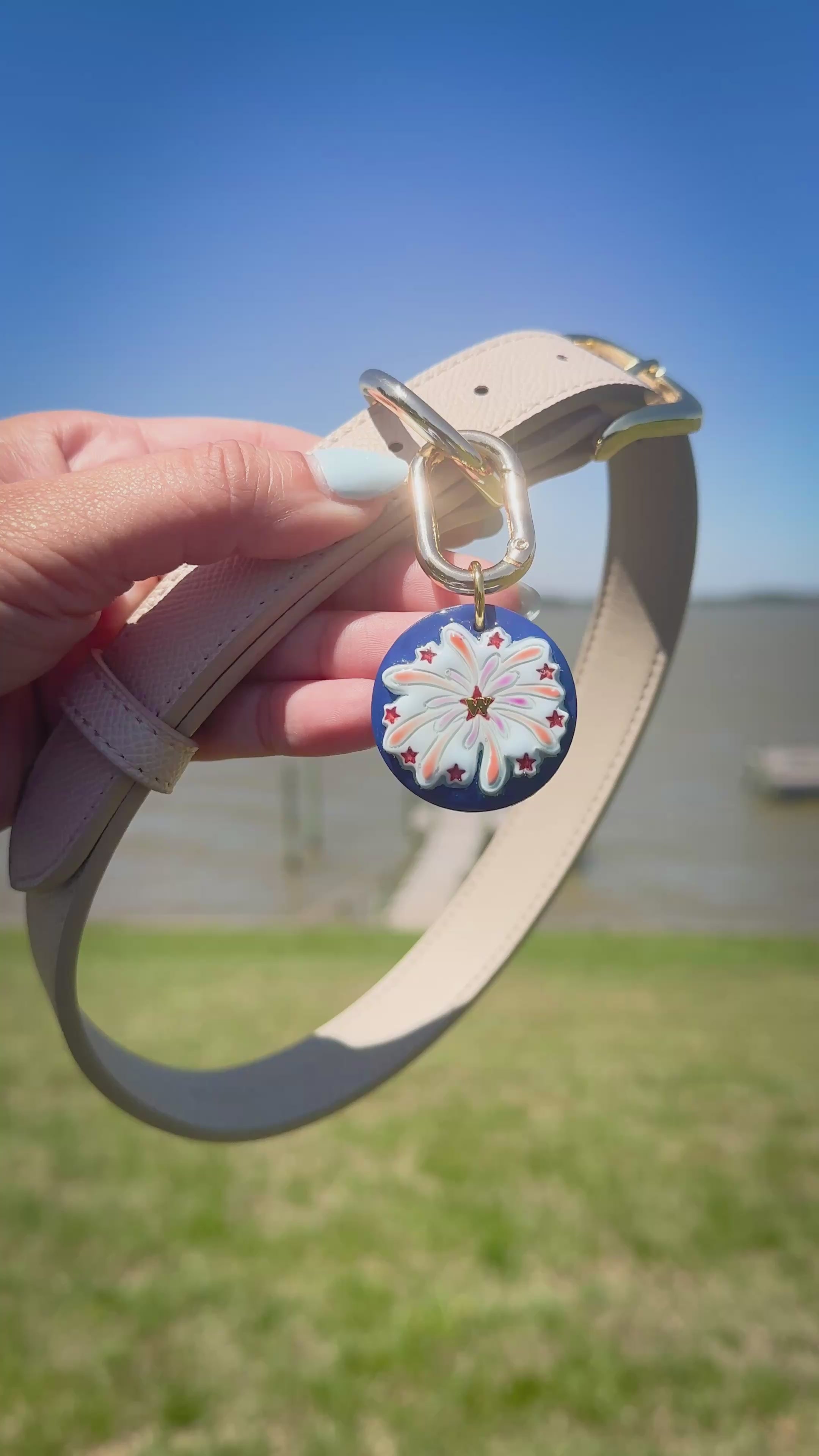 Spark in the Sun - Pet Tag for Dogs, Cats & Other Pets